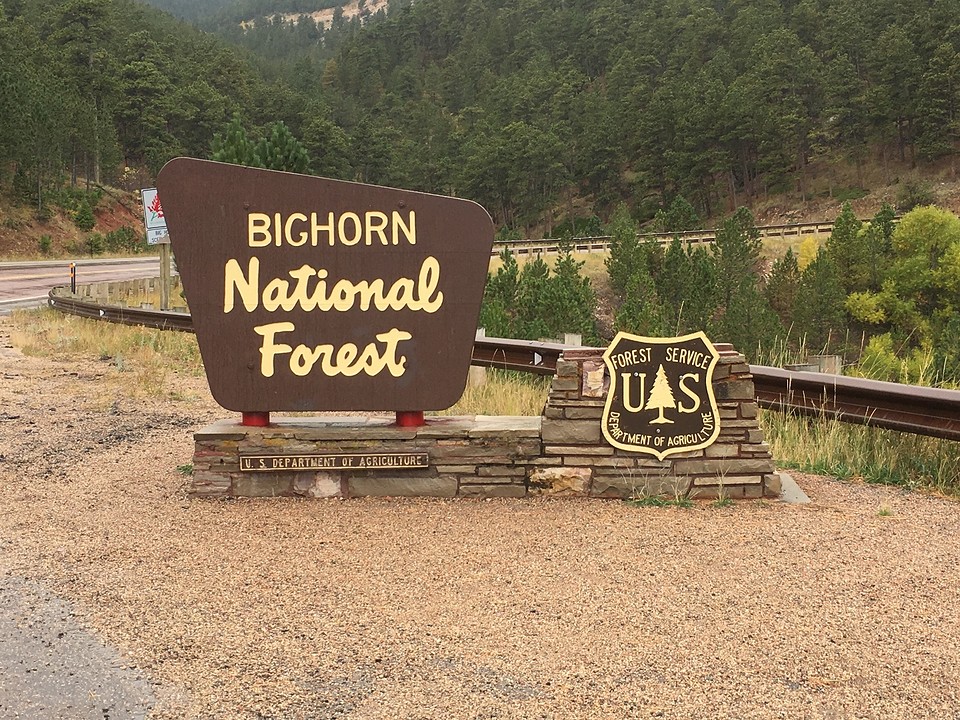 Bighorn National Forest