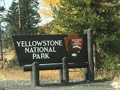 Yellowstone National Park