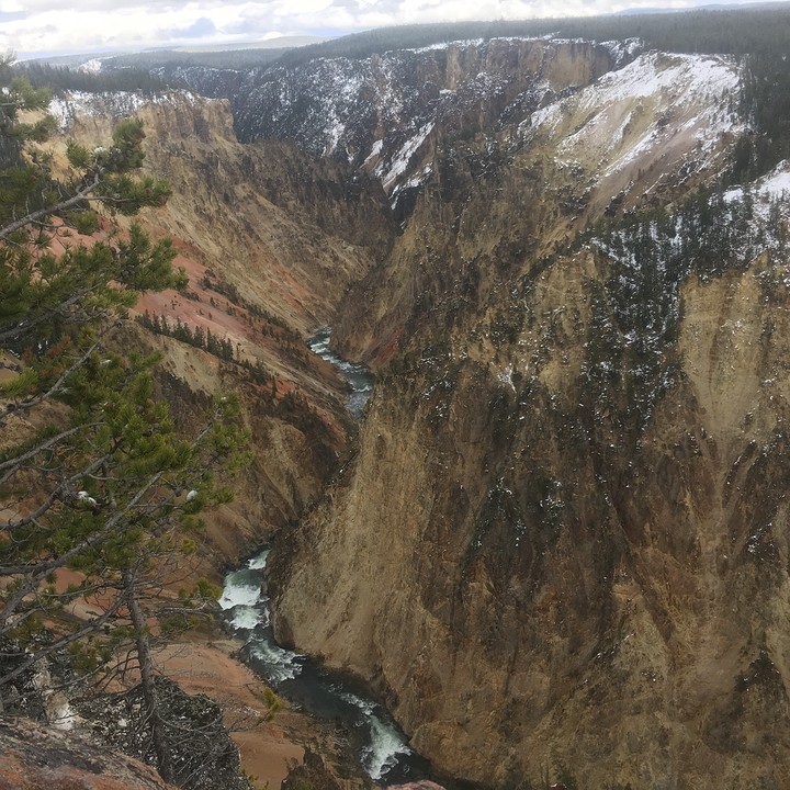 Yellowstone canyon