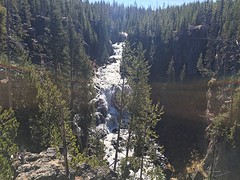 Waterval Yellowstone