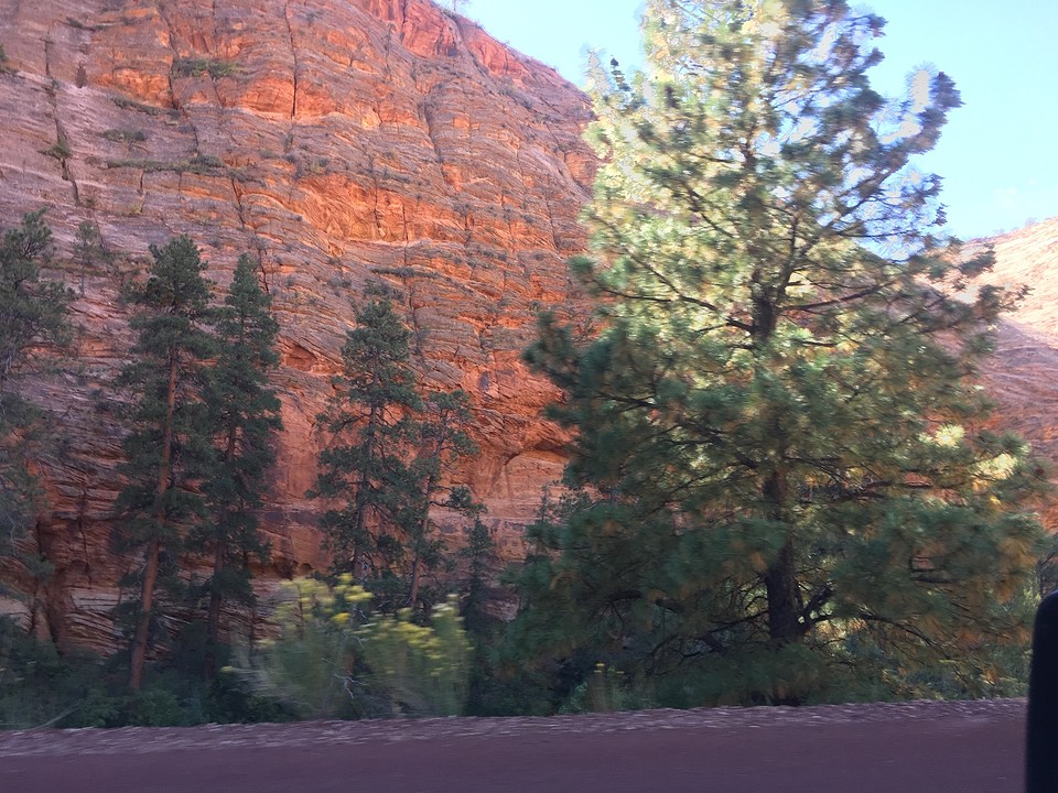 Red Canyons