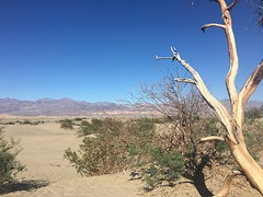 Death Valley dunes
