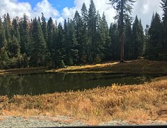 Yosemite