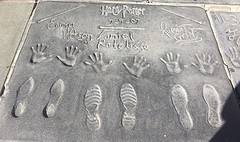 Harry Potter crew