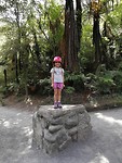 IMG_20180403_114709