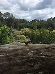 IMG-20180407-WA0004