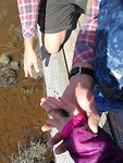 IMG_20180408_113049