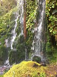 IMG-20180409-WA0012