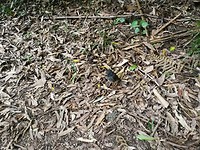 IMG_20180409_154020