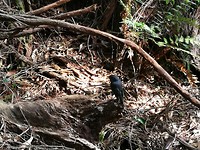 IMG_20180409_154120