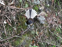 IMG_20180412_111435