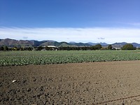 IMG_20180413_104845