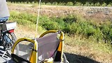 VID_20180413_103951