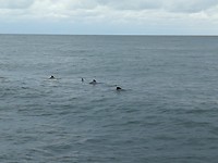 IMG_20180414_110123
