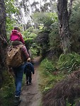 IMG_20180414_123258