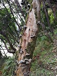 IMG_20180414_125612