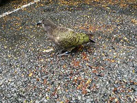 IMG_20180420_151407