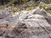 IMG_20180421_100138