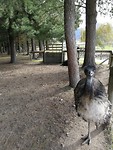 IMG_20180427_111228