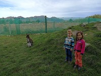 IMG_20180427_111906