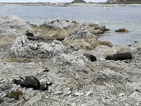 IMG_20180428_150121