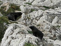 IMG_20180428_150046