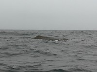 IMG_20180429_093435
