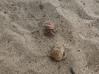 IMG_20180505_145813