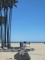 Venice Beach