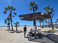 Venice Beach 5