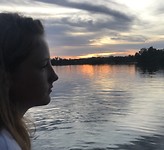 Merel voor de zonsondergang
