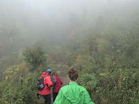 Prachtig wandelen