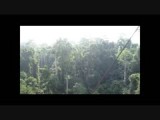Canopy Walk in Kakum National Park