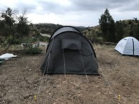 Awakeland