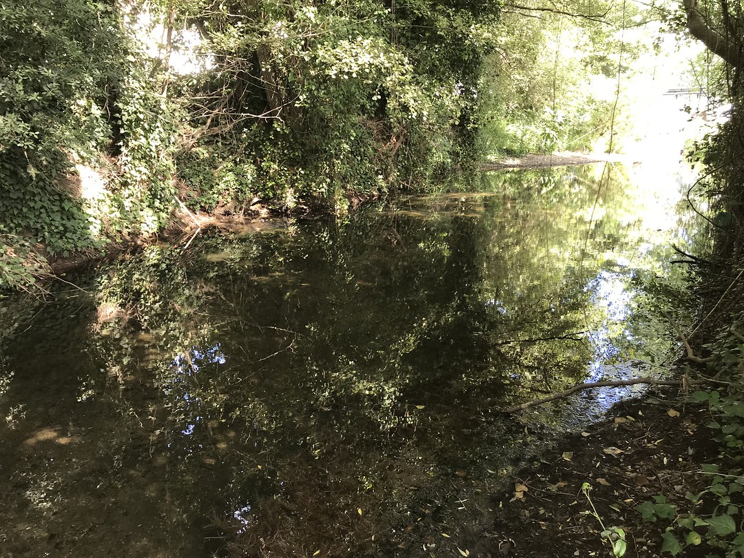 Bading in a stream