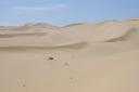 Zand duinen