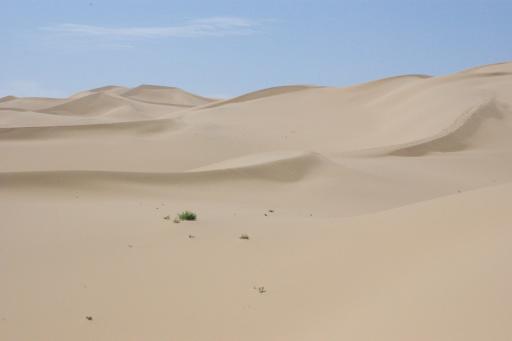 Zand duinen