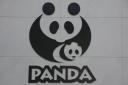 I Love Panda