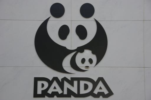 I Love Panda