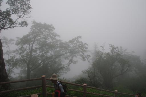 Wandelen in de mist