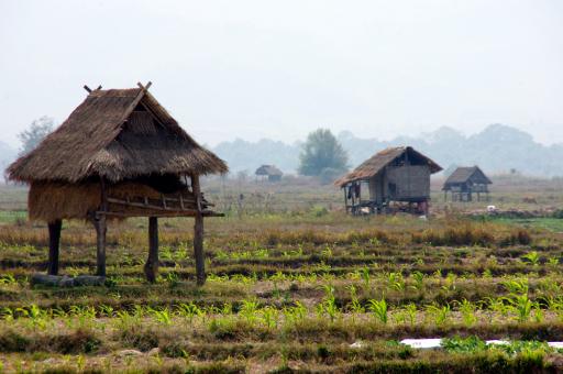 Paar hutjes op platte land