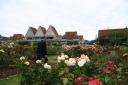 ons hotel bij rozentuin