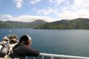 Genieten van het uitzicht in Marlborough Sounds