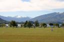 cricketters in Wanaka