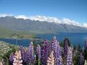 Uitzicht over Queenstown