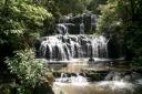 Purakaunui falls