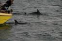 spelen bij de boot
