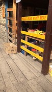 IMG_1196