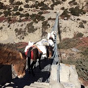 IMG_1328