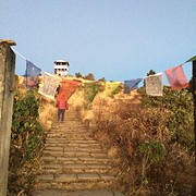IMG_1546